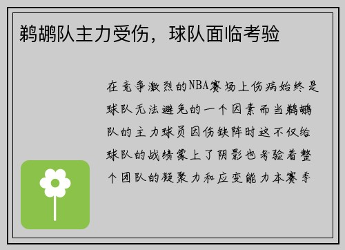 鹈鹕队主力受伤，球队面临考验