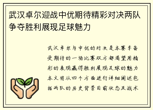 武汉卓尔迎战中优期待精彩对决两队争夺胜利展现足球魅力