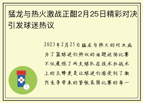 猛龙与热火激战正酣2月25日精彩对决引发球迷热议