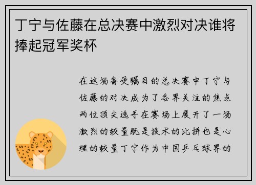 丁宁与佐藤在总决赛中激烈对决谁将捧起冠军奖杯