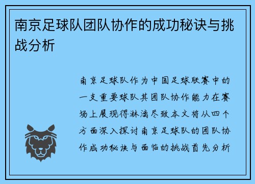 南京足球队团队协作的成功秘诀与挑战分析