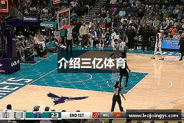介绍三亿体育